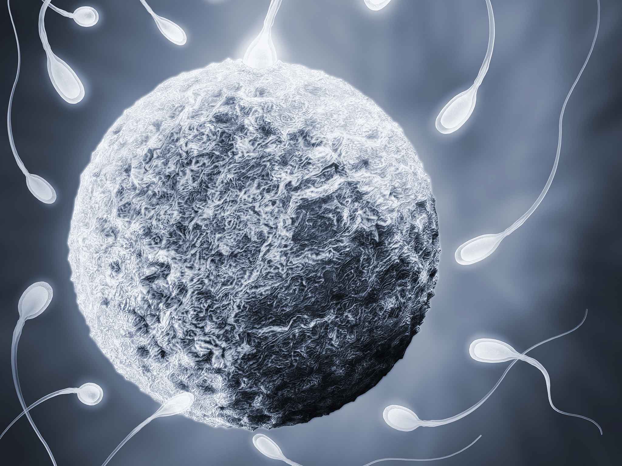 Sperm donation: Inside a deeply emotive world of powerful incentives,  polarised views and heated debates | The Independent | The Independent