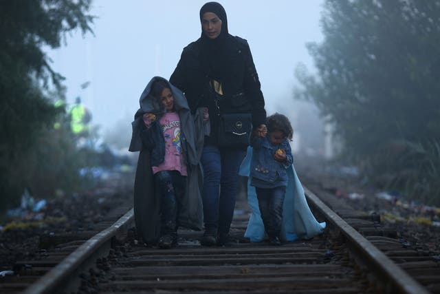 Refugees arrive at the Serbian border with Hungary
