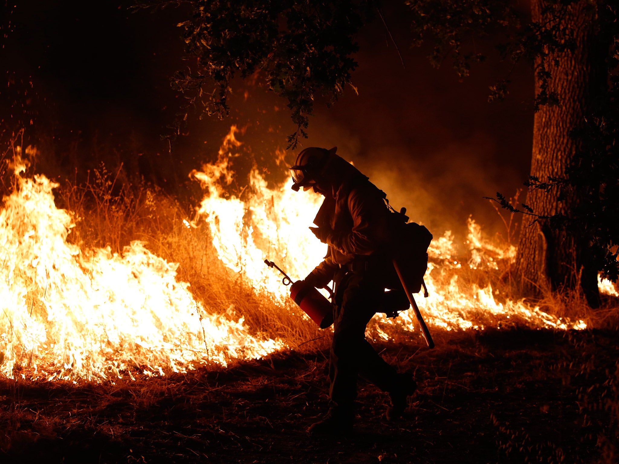 A firefighter with the Marin County Fire Department's Tamalpais Fire Crew ignite a backfire with a driptorch as he battles the Valley Fire on September 13, 2015 near Middletown, California.