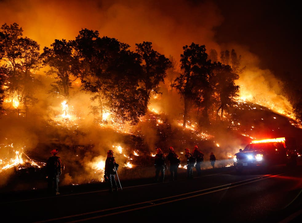 Firefighters with the Marin County Fire Department's Tamalpais Fire Crew monitor a backfire as they battle the Valley Fire on September 13, 2015 near Middletown, California. 