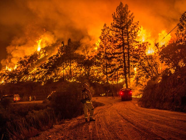 The Valley Fire has already consumed 61,000 acres of land