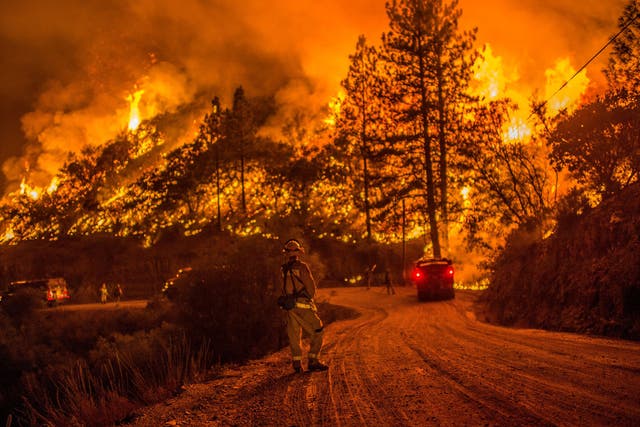 The Valley Fire has already consumed 61,000 acres of land