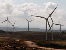 Wind farm projects 'put at risk by Government subsidy cuts'