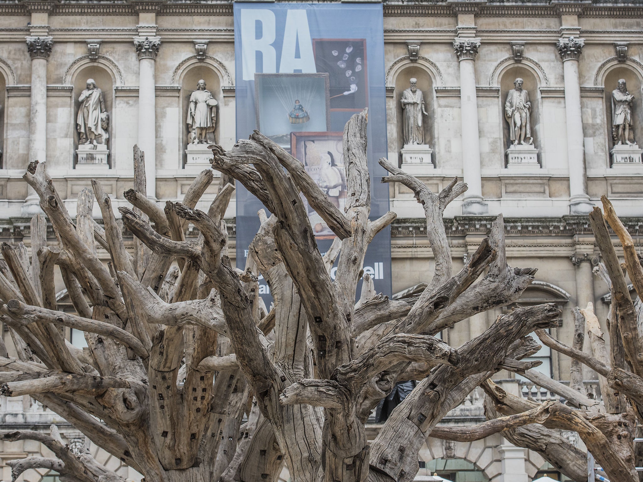 Ai Weiwei's tree sculptures taking shape in the courtyard of London's Royal Academy