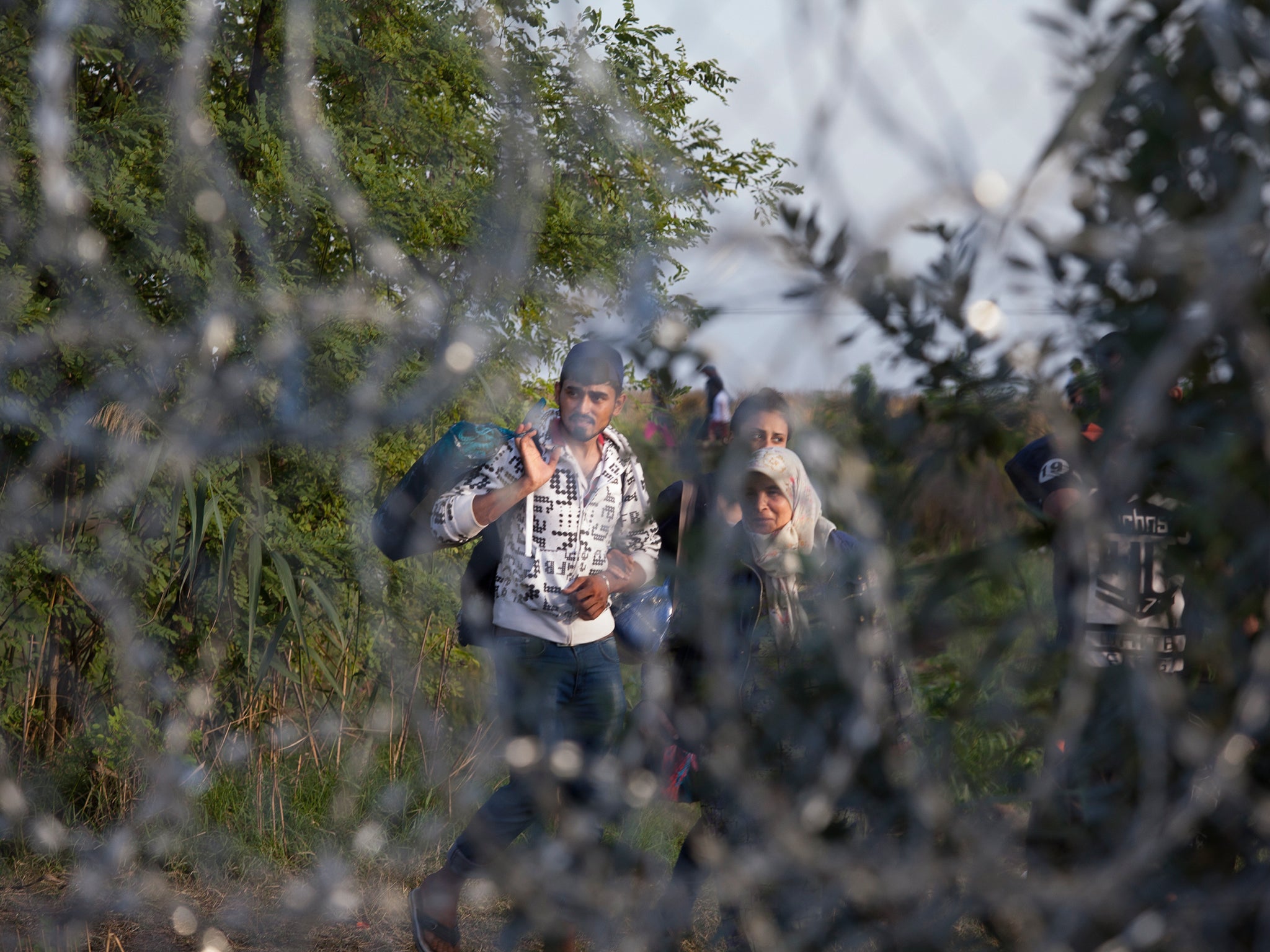 Thousands of migrants crossed into Austria from Hungary on foot overnight