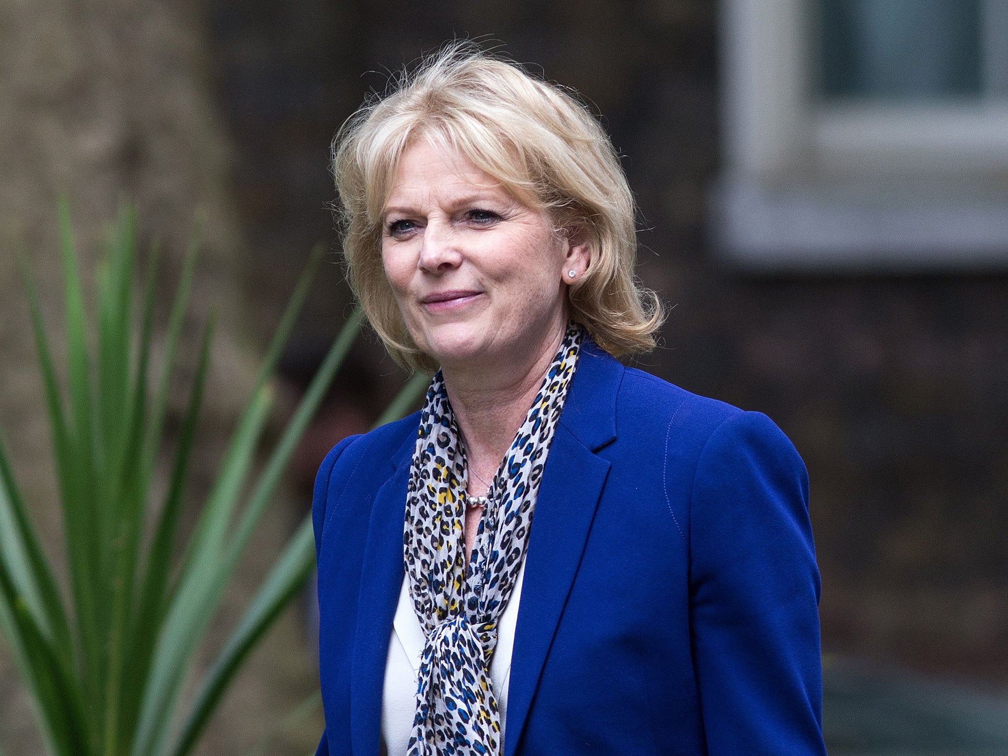 Business minister Anna Soubry