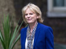 Tory MP Anna Soubry reports threats after ‘Brexit mutineer’ article