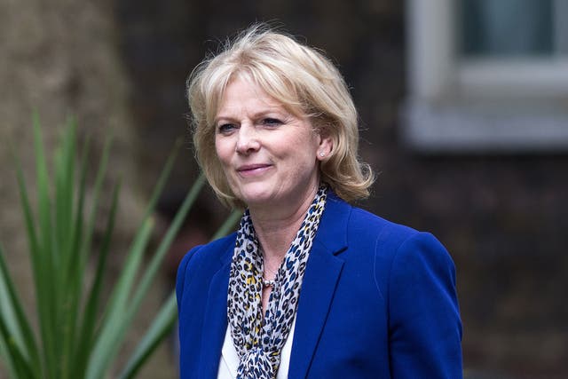 Small business minister Anna Soubry 