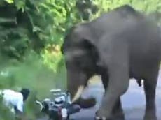 Watch: Motorcyclist narrowly escapes collision with elephant in India