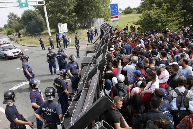 Refugees at the border with Hungary, near the village of Horgos  in Serbia