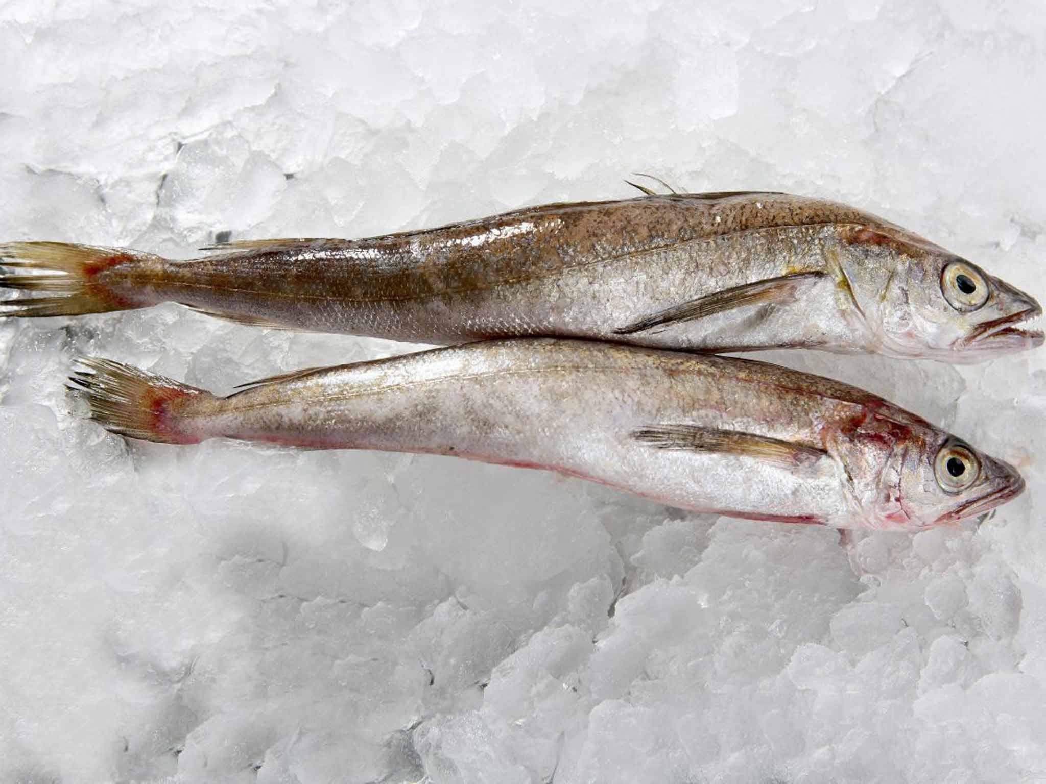 Chefs are using all parts of the fish to make delicious dishes