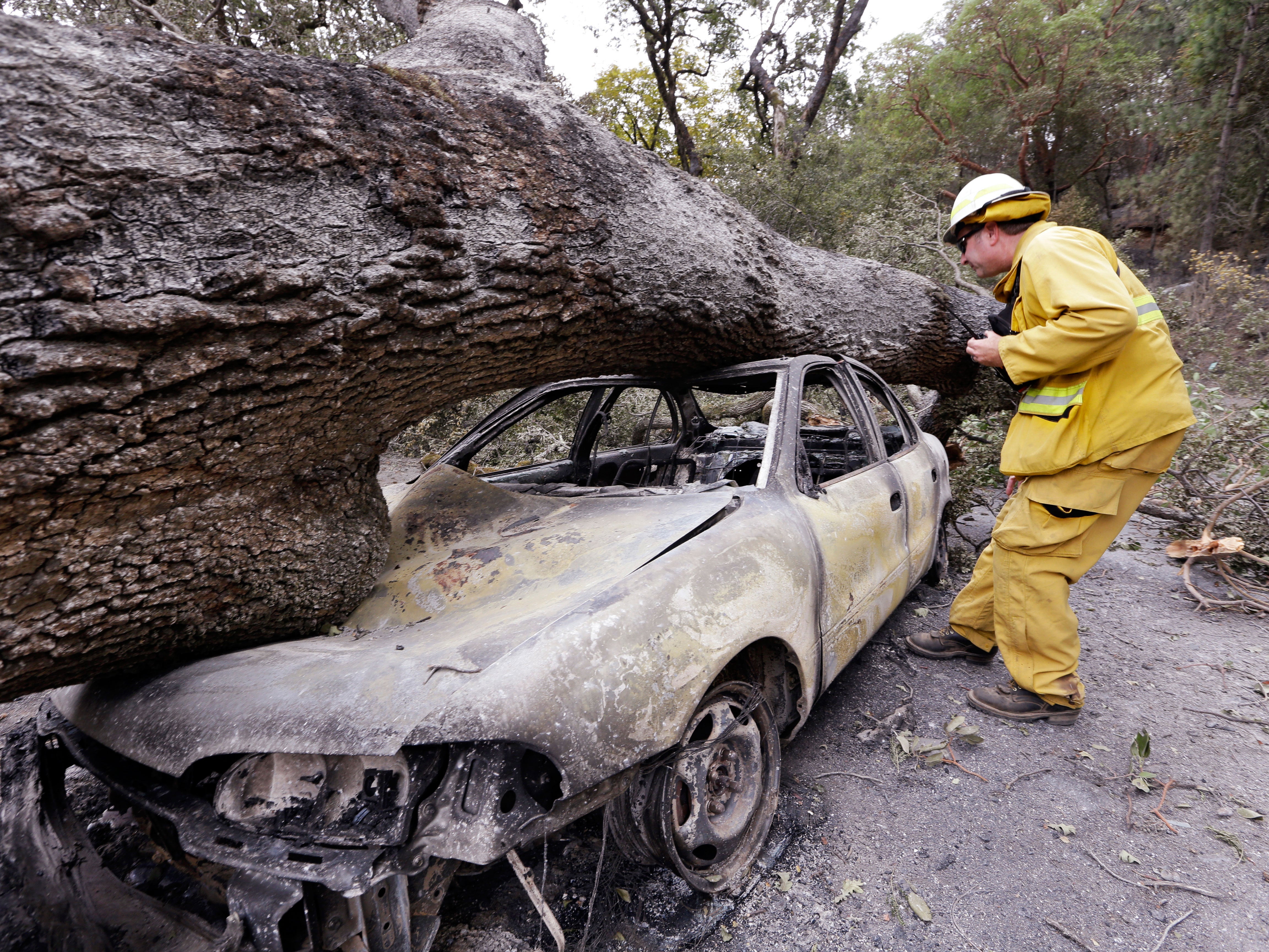 A firefighter looks into a car hit by a fallen tree in the Valley wildfire