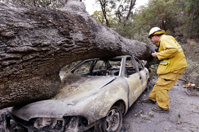 A firefighter looks into a car hit by a fallen tree in the Valley wildfire