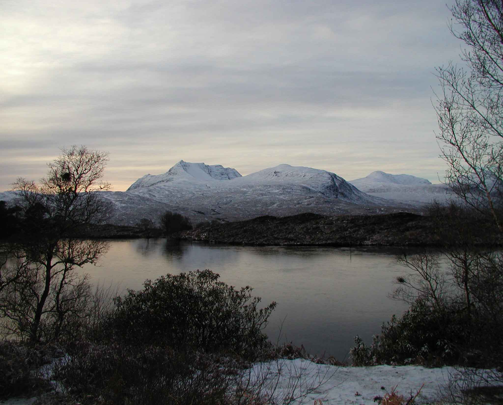 Red deer are found in abundance across Coigach