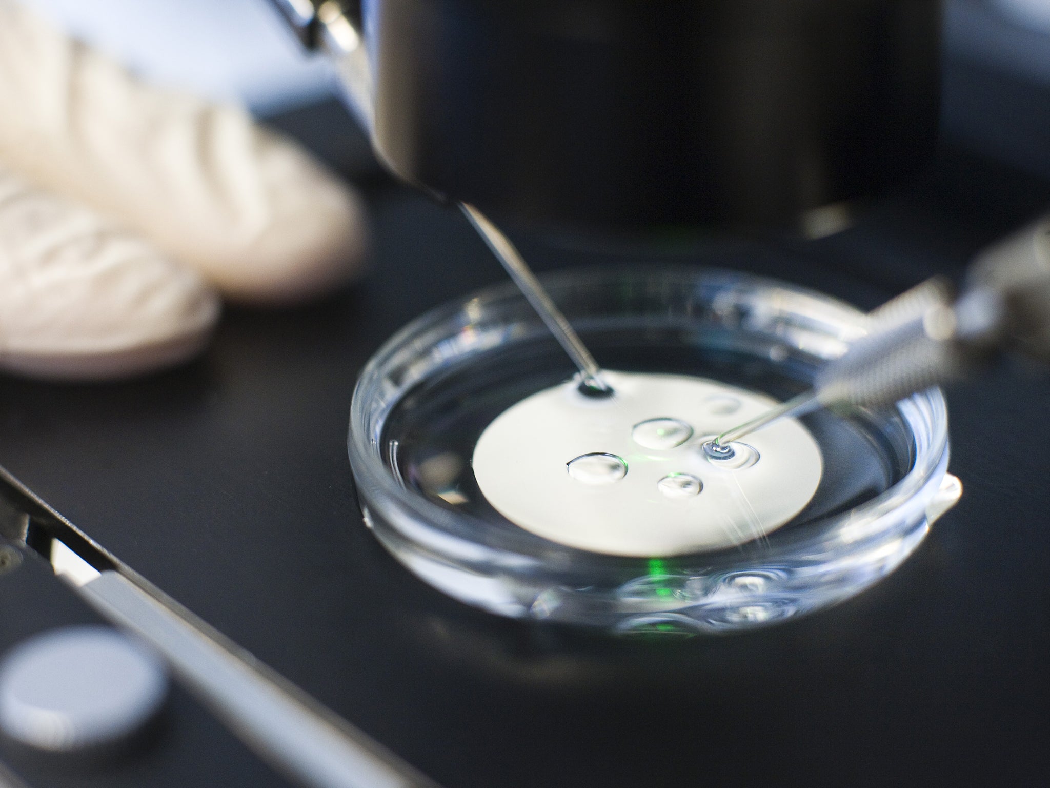 The genetic manipulation of human IVF embryos is set to start in Britain for the first time