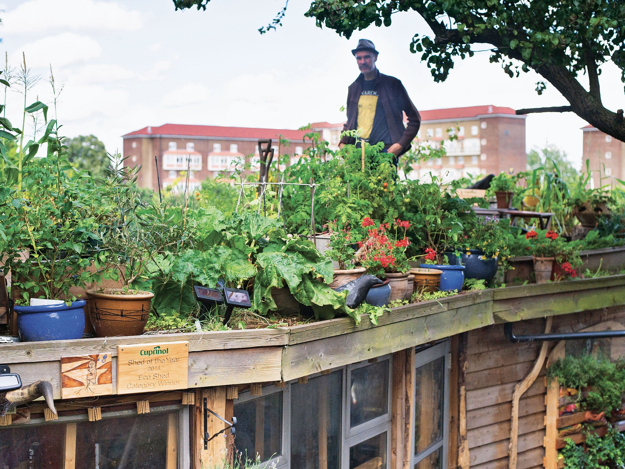 Artist and composer Joel Bird's roof-top allotment, constructed on his self-built art and music studios