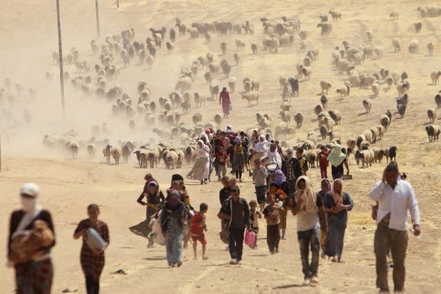Displaced people from the minority Yazidi sect flee Isis in Al-Hasakah Governorate