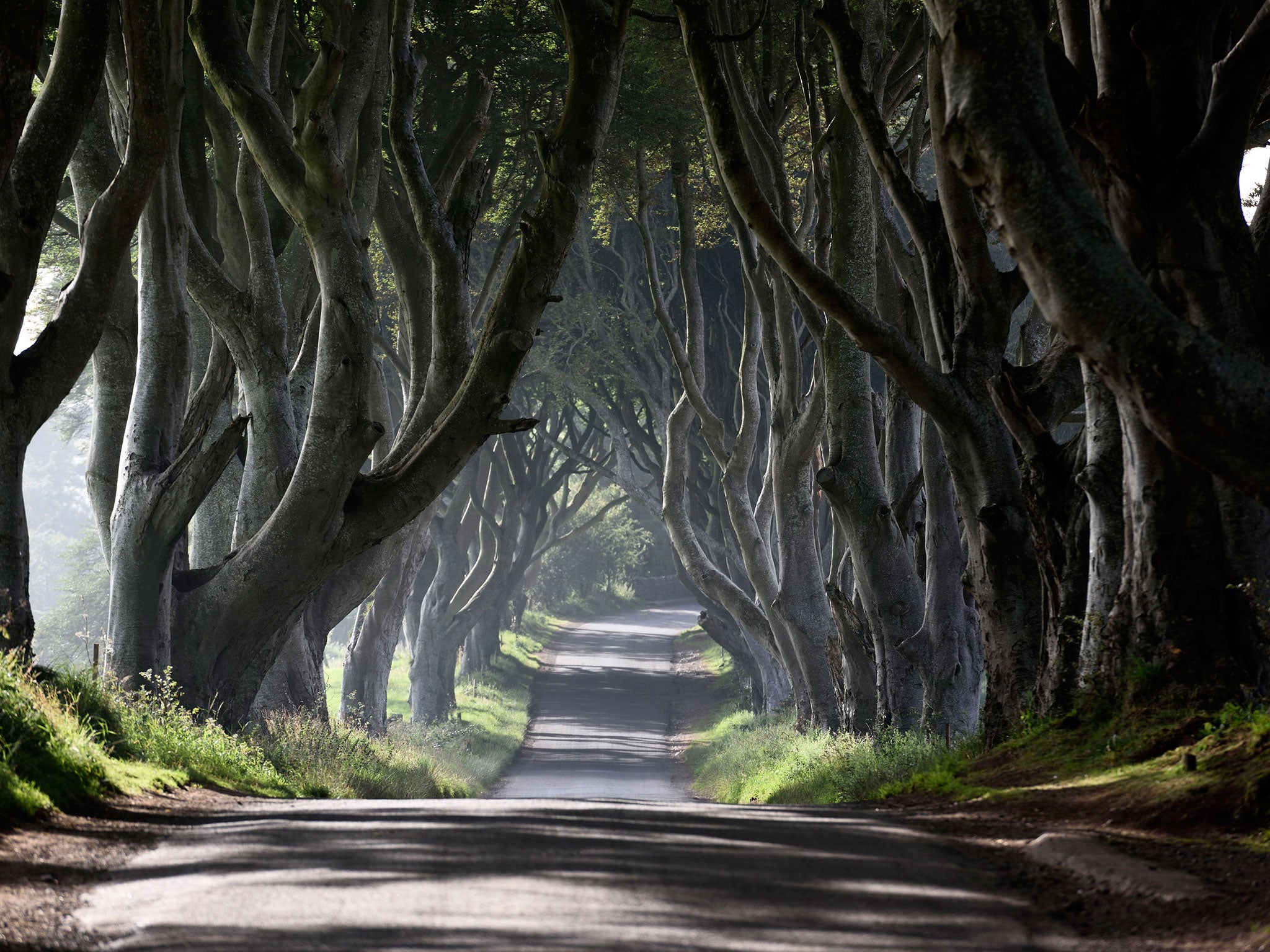 The Dark Hedges in Stranocum, Northern Ireland is a beech avenue which featured in ‘Game of Thrones’