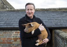 The most shocking thing about #Piggate is that it wouldn't be the worst thing David Cameron has done