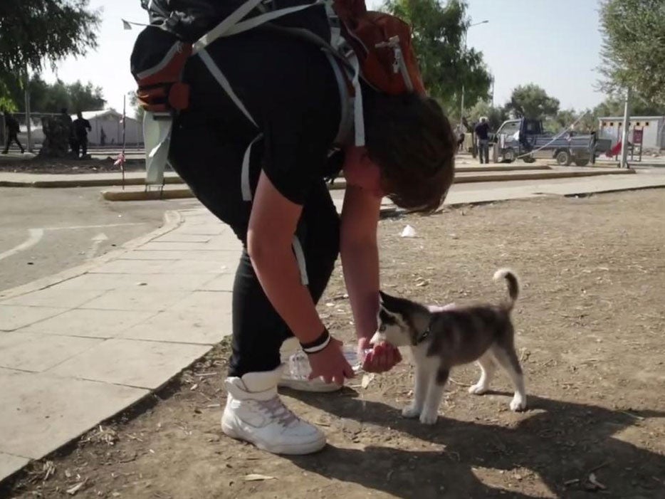 Aslan has carried his dog, Rose, all the way from Syria to Greece
