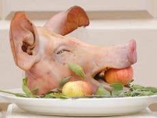The PM, the pig, and student initiation rituals