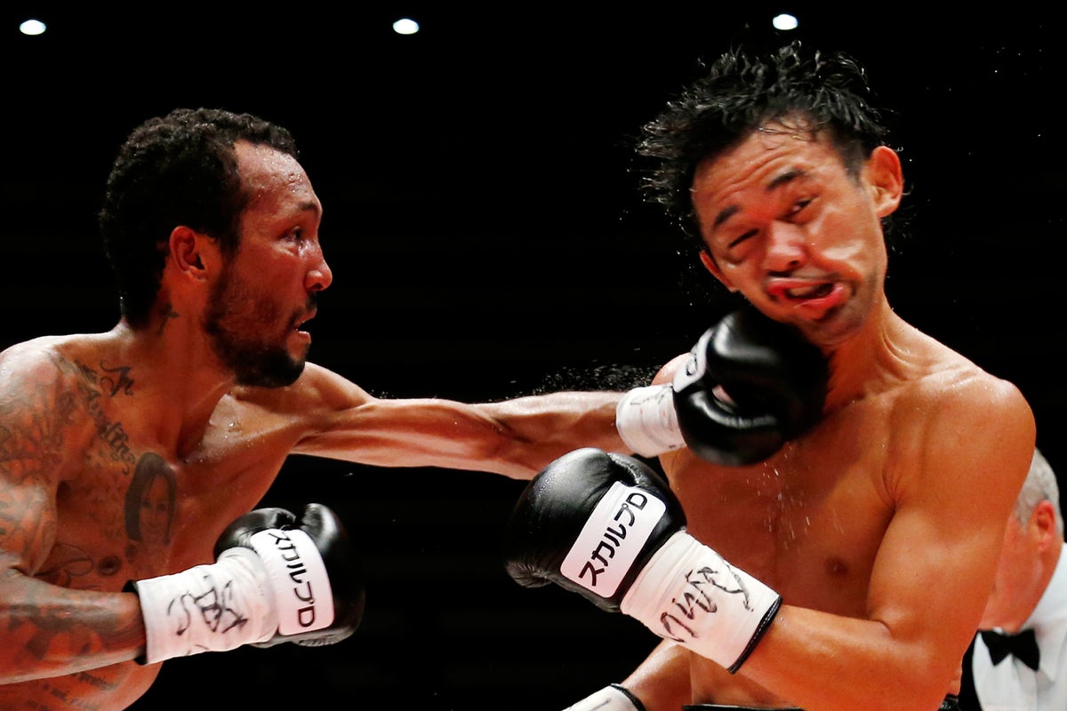 Human hands evolved for punching, scientists say after swinging corpses ...