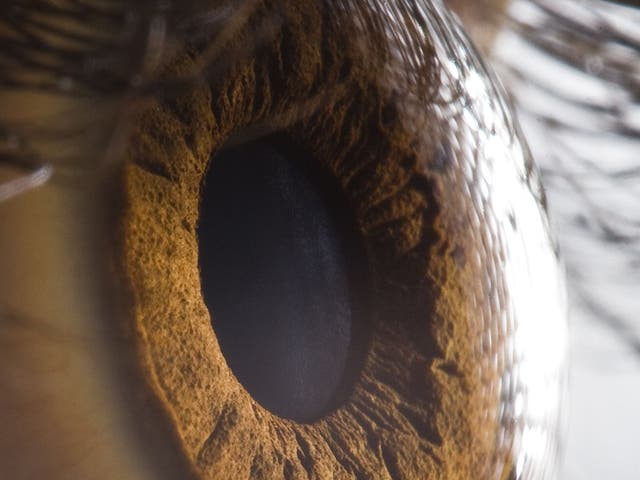 <p>By firing lasers into the participant’s retinas, researchers claimed to have stretched the colour palette to identify a new, unseen hue they call ‘olo’</p>
