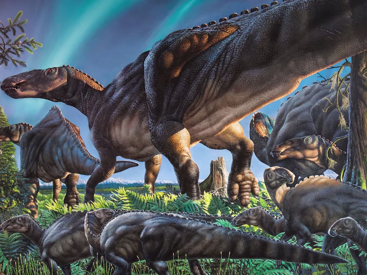 Researchers Discover Lost World Of Arctic Dinosaurs After Digging Up Huge Duck Billed Skeleton The Independent The Independent