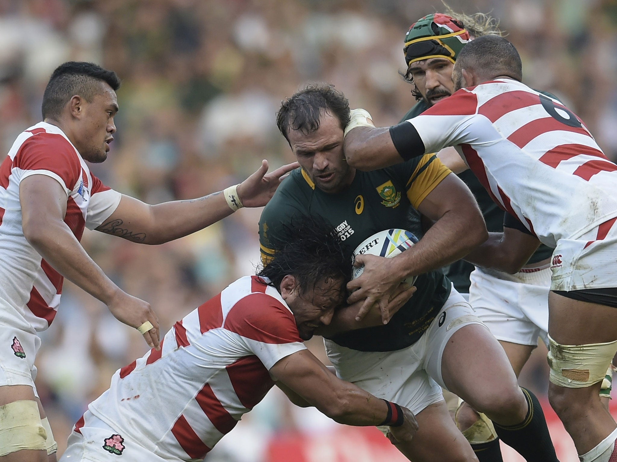 Bismarck du Plessis has been dropped from the South Africa squad
