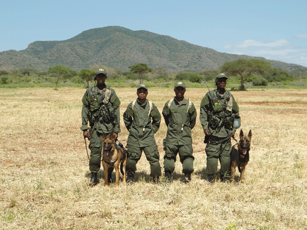 Rangers and dogs in Mkomazi National Park, Tanzania