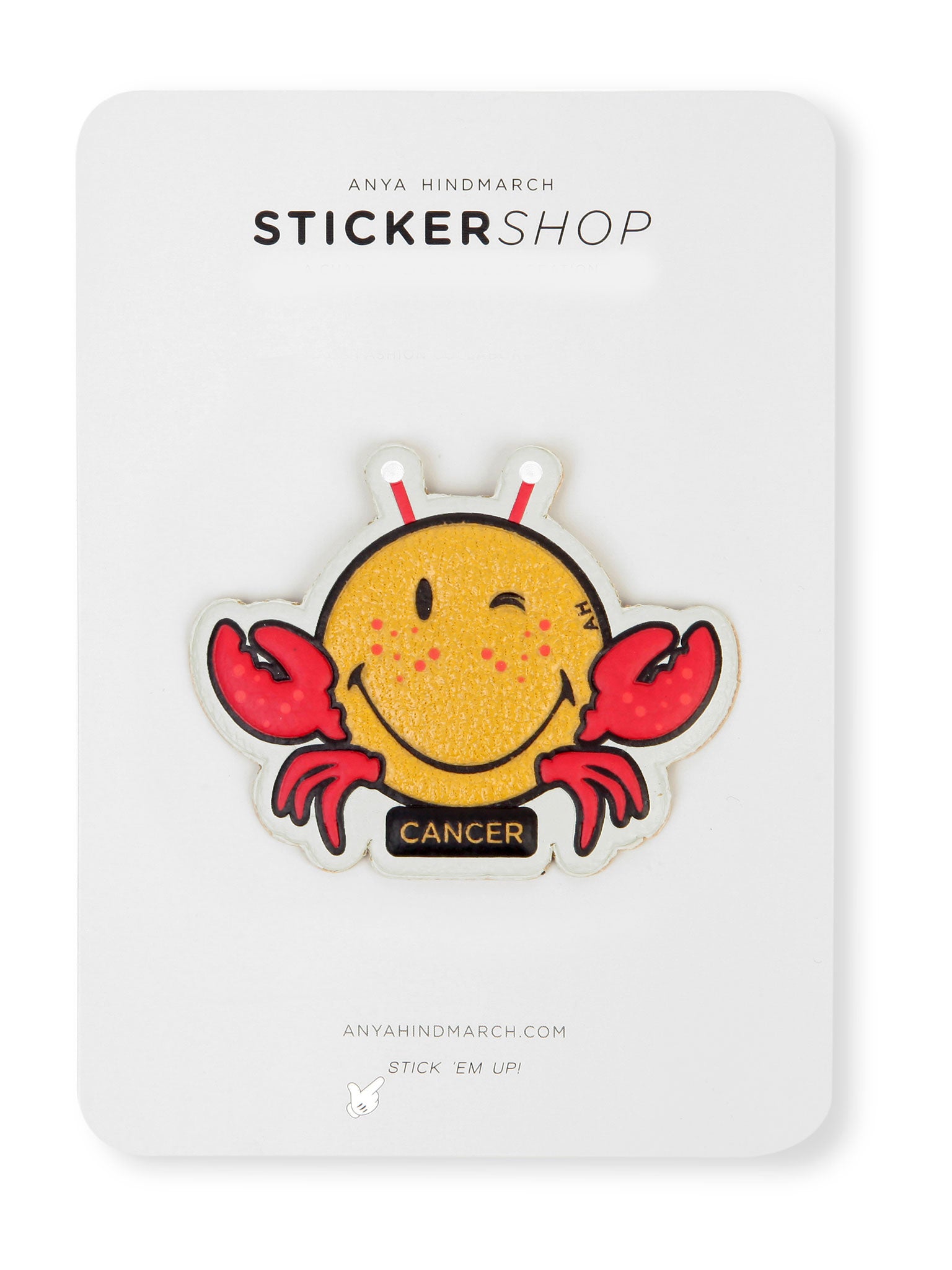 Cancer sticker, £45, Anya Hindmarch, selfridges.com
