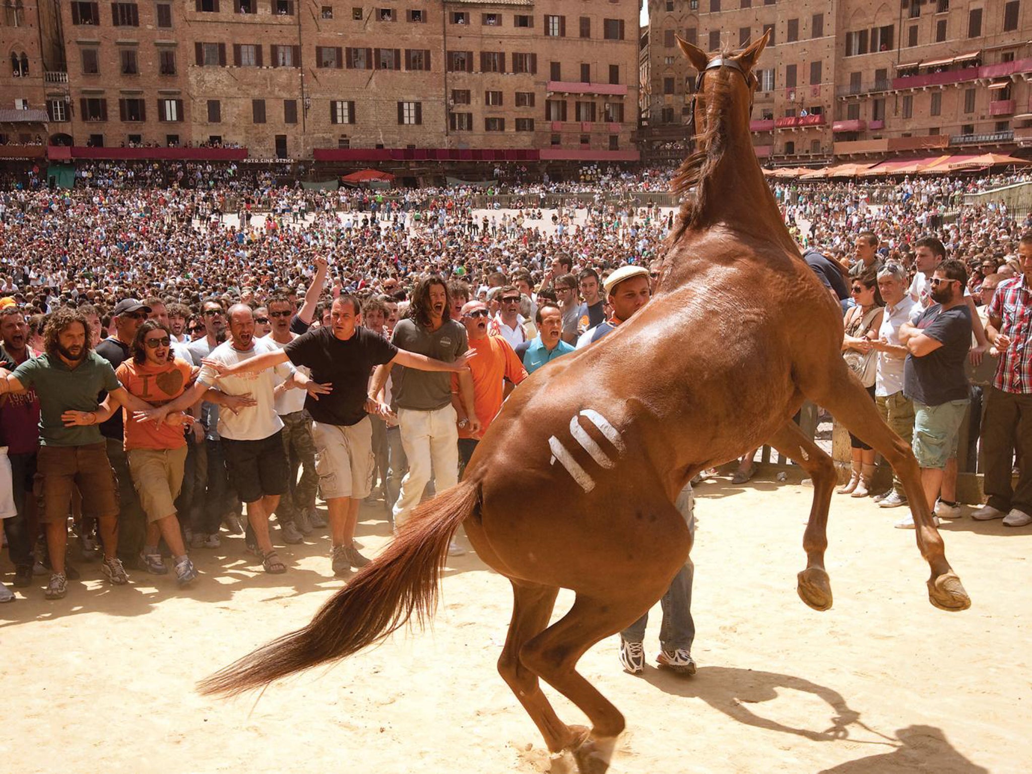Bareback beauty: the view from Siena square in the spectacular ‘Palio’