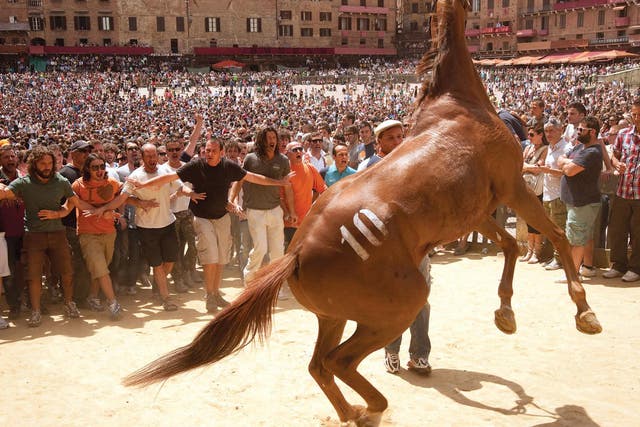 Bareback beauty: the view from Siena square in the spectacular ‘Palio’