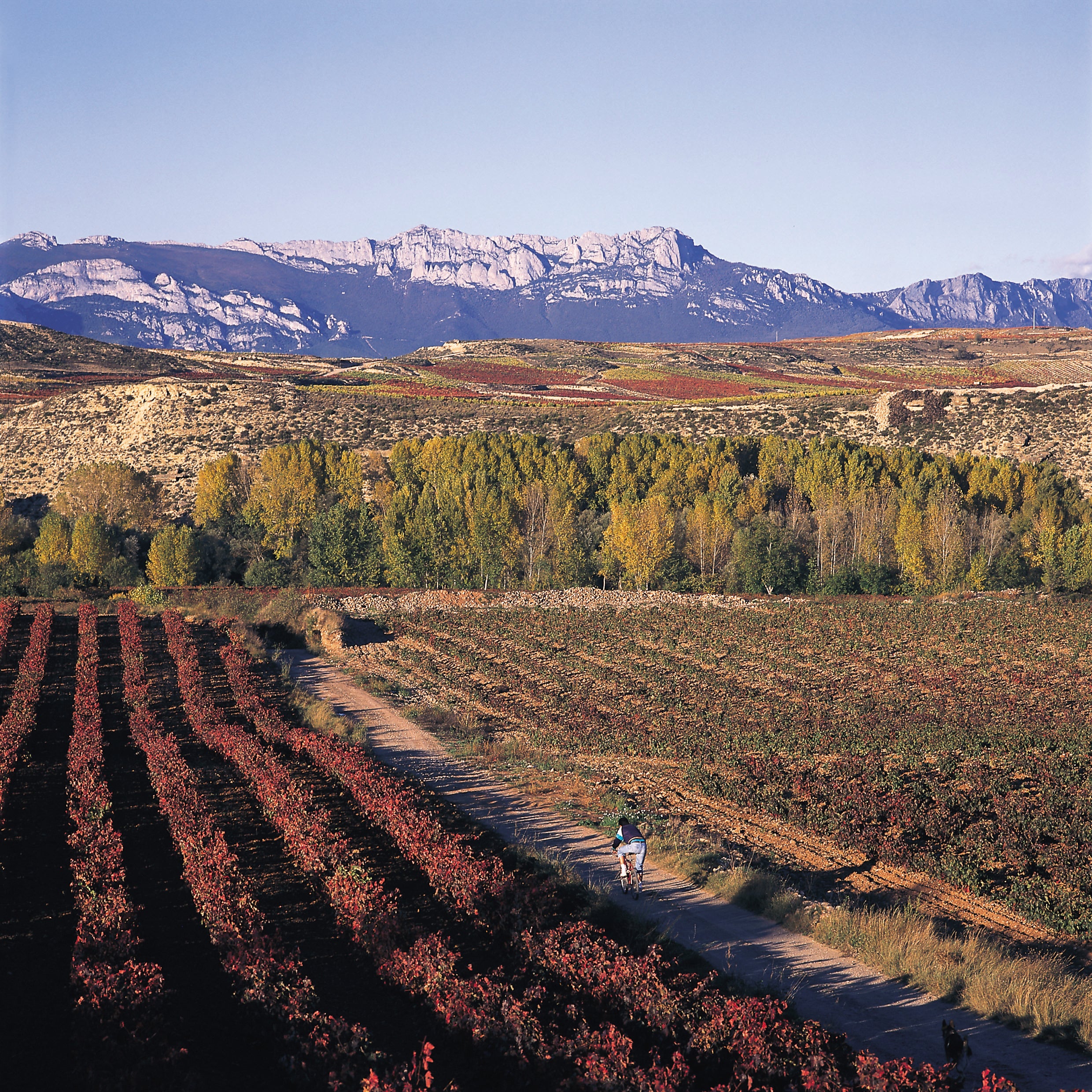 Abalos La Rioja