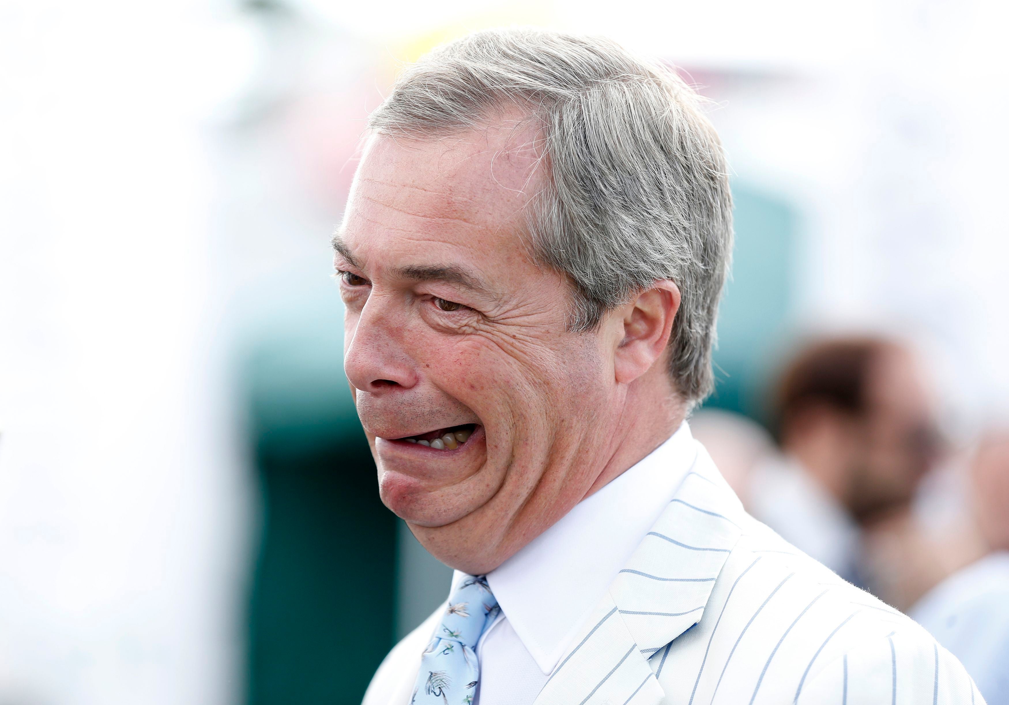 Nigel Farage mocked David Cameron over allegations he put his genitals in a dead pig's mouth while at university