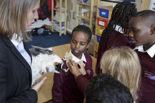 Emma Johnson with pupils at the Oasis Academy Foundry in Winson Green, Birmingham, who are encouraged to look after animals