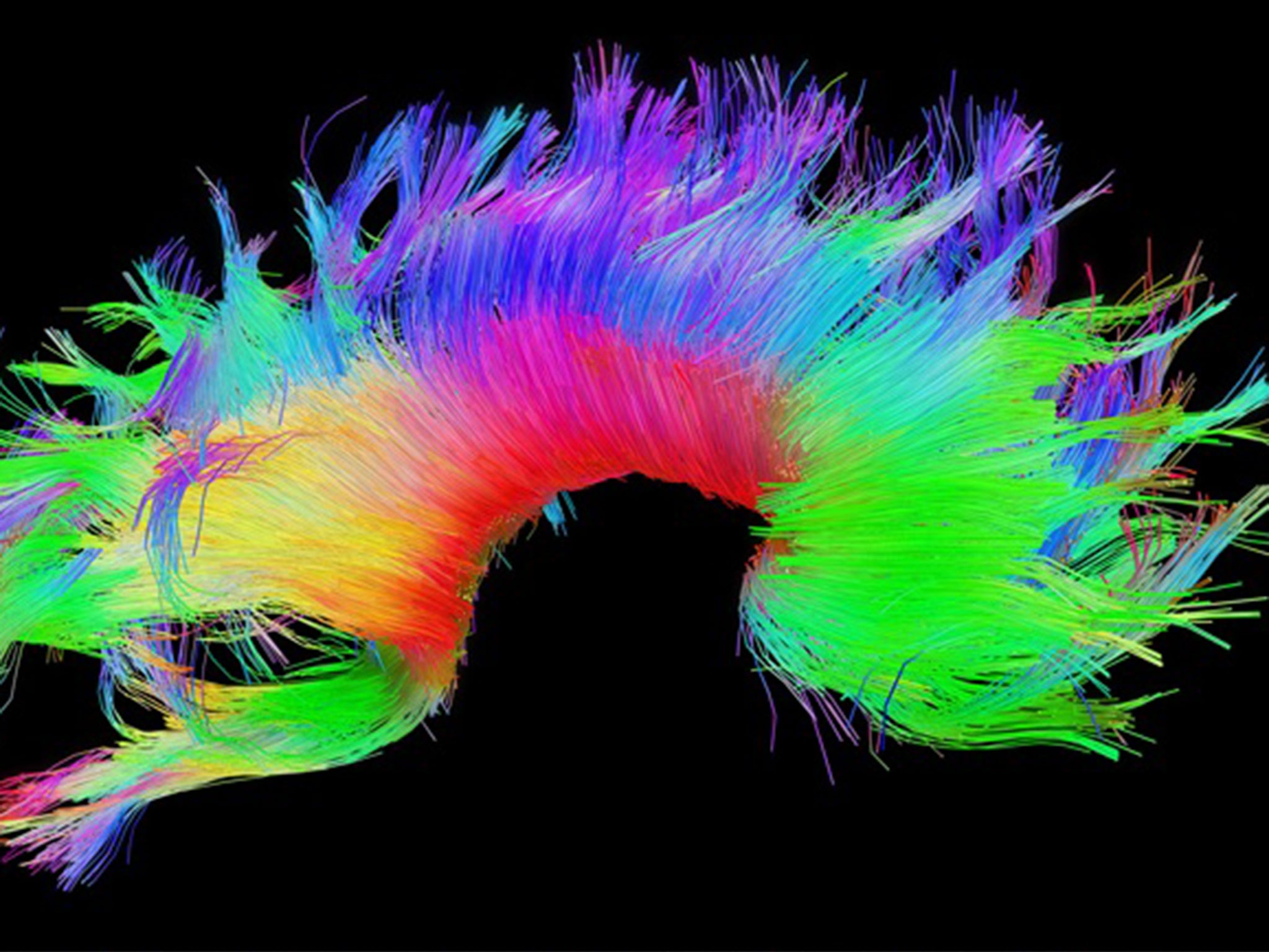 The internet has changed how our brains interact with some data