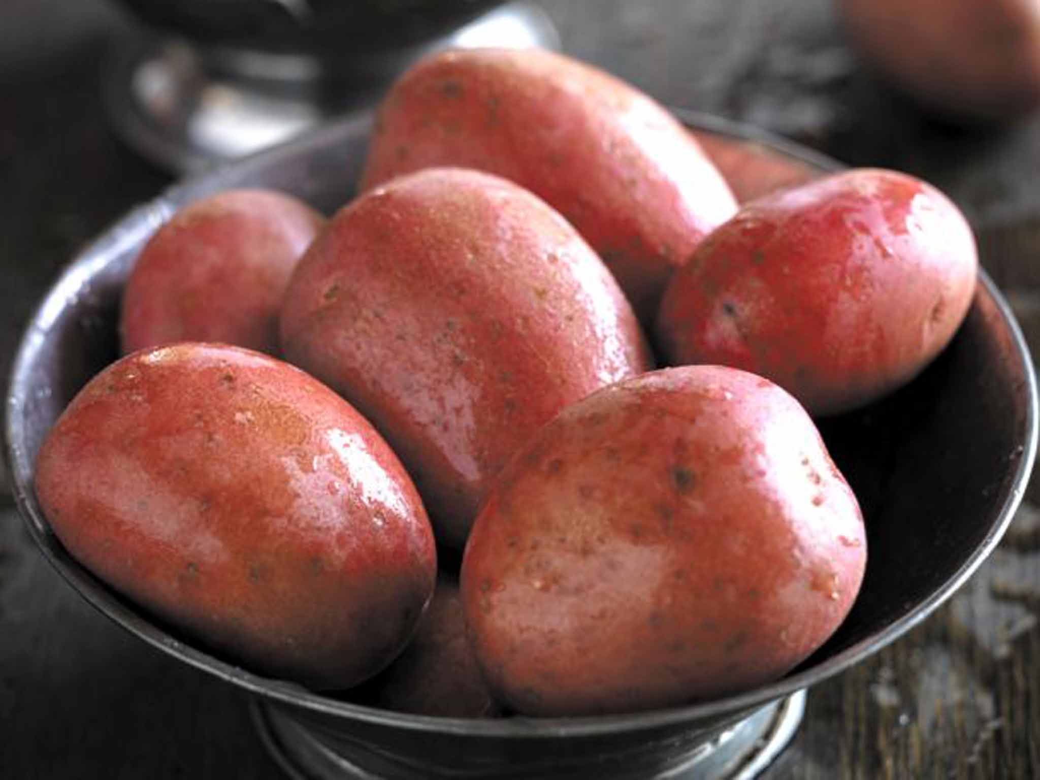 There will be spud: a bowl of roseate Roosters, aptly coloured for the red planet