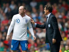 Wayne Rooney: 'We expected more under Fabio Capello'
