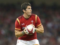 Wales trust called-up James Hook, insists Howley