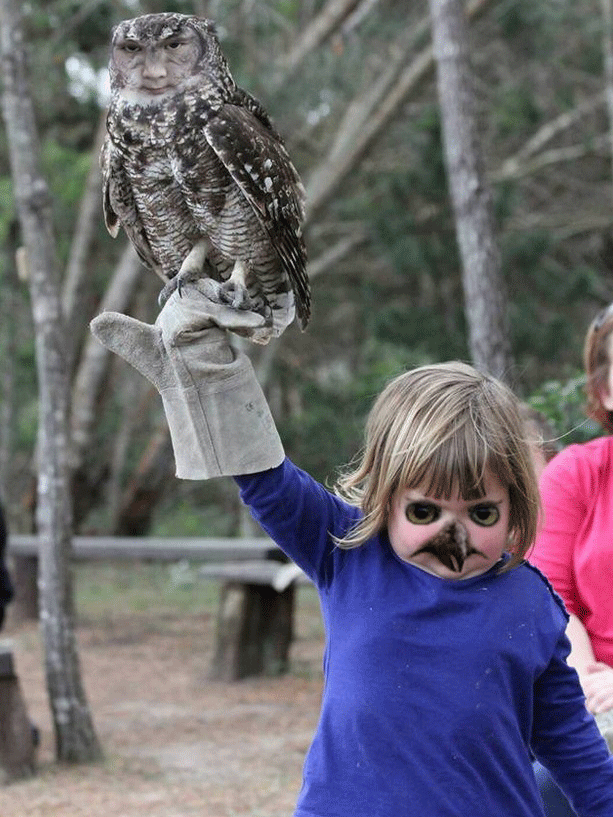 The owl and the stern-looking young girl swap faces