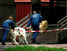 Everything you need to know about mad cow disease in the UK