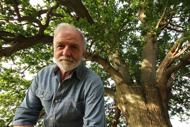 Branching out: George McGavin with the 400-year-old oak