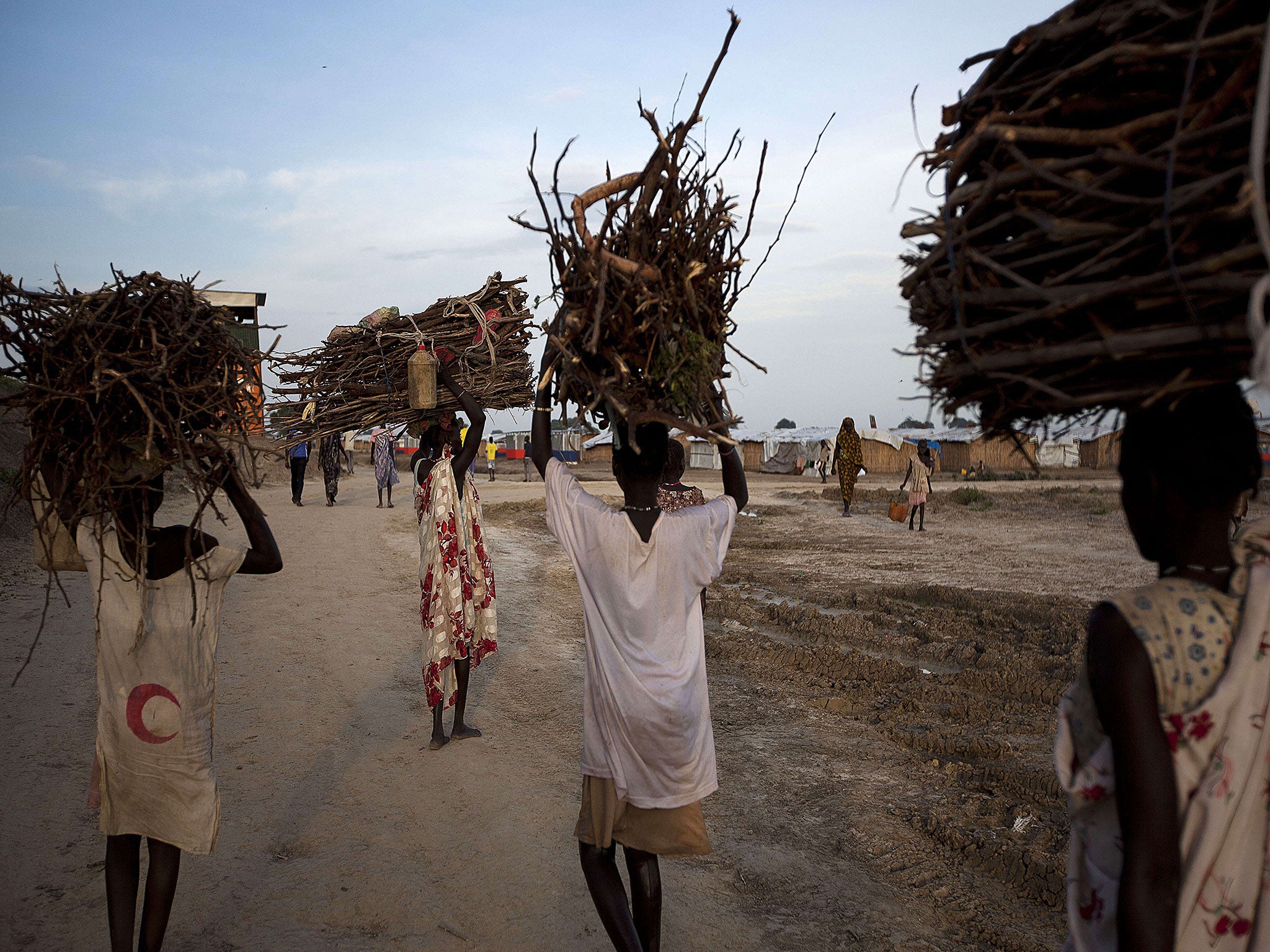 Refugees gather firewood at the UN base at Bentiu. Women carrying out the task risk ambush, rape and abduction by armed men in the surrounding forests