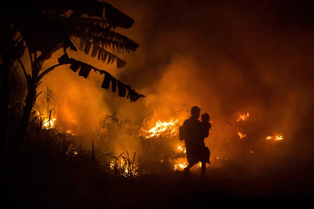 A forest fire in South Sumatra
