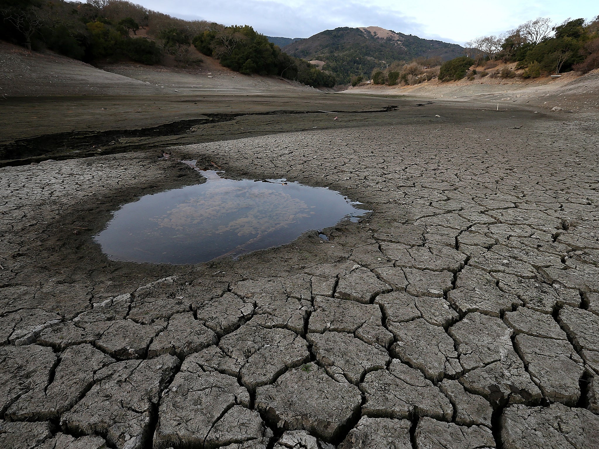 A small pool of water is surrounded by dried and cracked earth that was the bottom of the Almaden Reservoir in San Jose, California