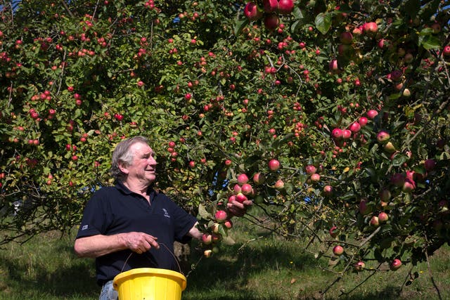 An apple orchard in Minnesota is under fire after ranting about 'the China Virus'