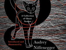 Social satire in Audrey Niffenegger's new ghost story collection