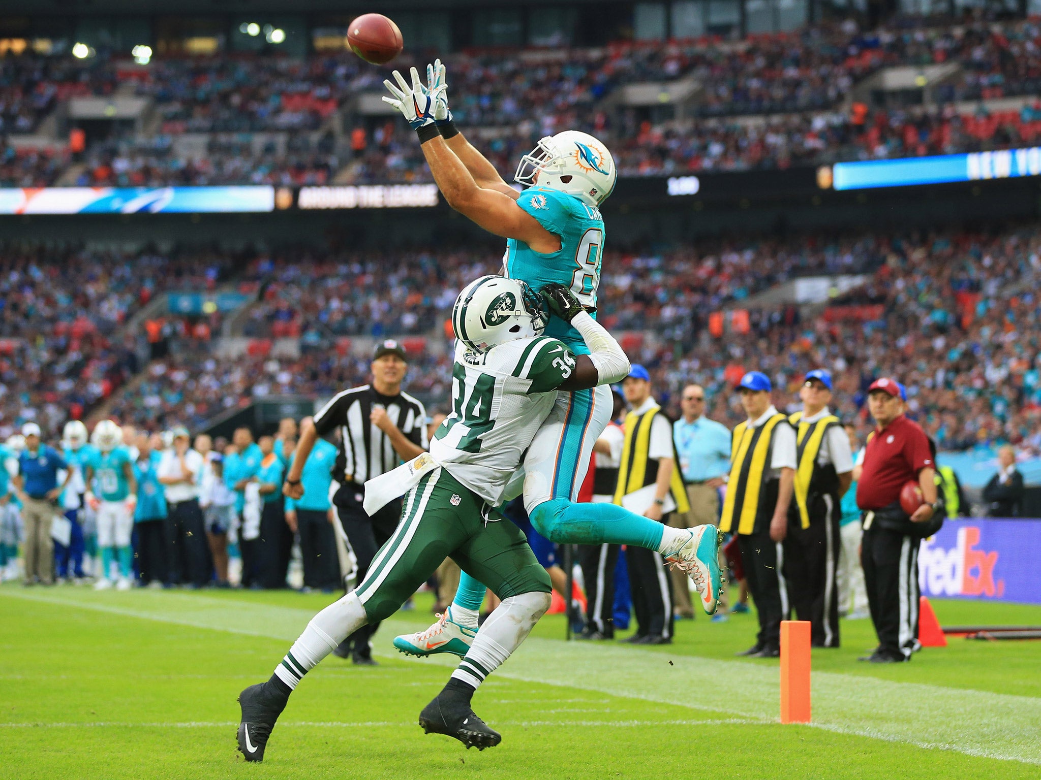 3,673 Miami Dolphins Fan Stock Photos, High-Res Pictures, and Images -  Getty Images