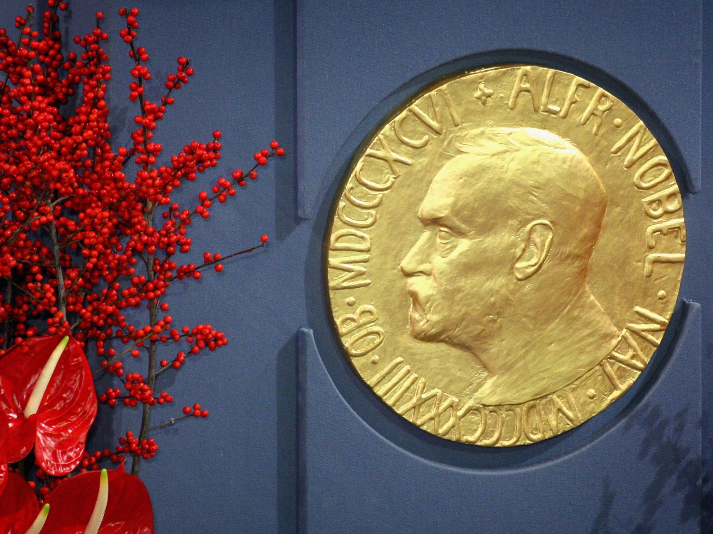 A plaque depicting Alfred Nobel at the Nobel Peace Prize Ceremony 2008 in Oslo City Hall on December 10, 2008 in Oslo, Norway